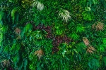 Фитостена из искусственных растений: полное руководство по созданию в 2025 году Фитостена из искусственных растений: полное руководство по созданию в 2025 году