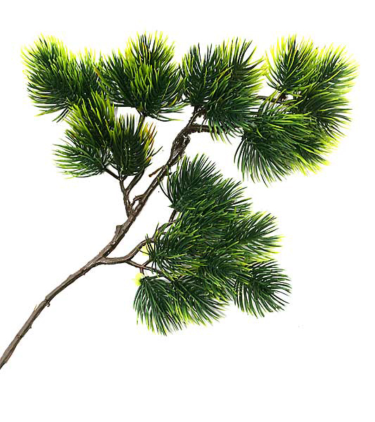 http://www.gardencentre.ru/imageModul/product/P-0111.jpg